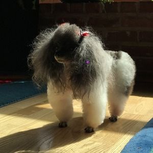 Meet your Posher, Mary